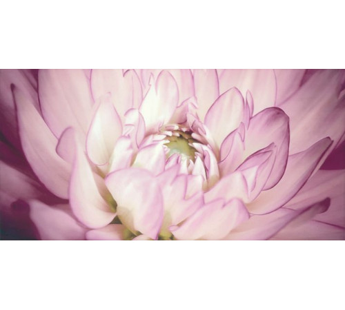 Декор Paradyz Sorenta Mocca Durst Kwiaty B 30х60 см х9999012092