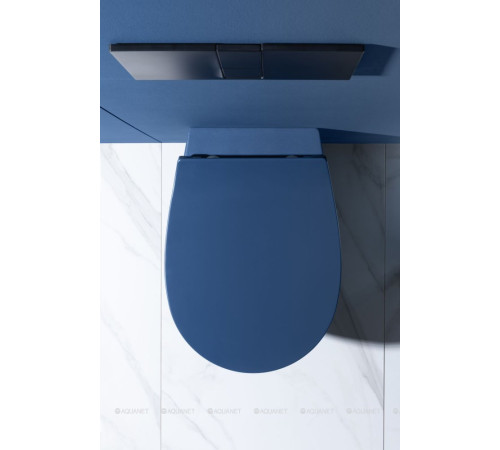 Унитаз подвесной Allen Brau FANTASY Rimless 510x363 мм индиго 4.11004.ID
