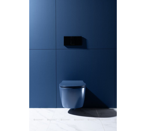 Унитаз подвесной Allen Brau FANTASY Rimless 510x363 мм индиго 4.11004.ID