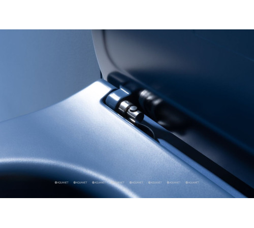 Унитаз подвесной Allen Brau FANTASY Rimless 510x363 мм индиго 4.11004.ID