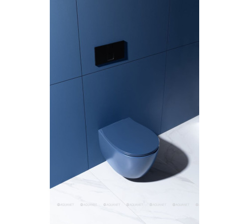 Унитаз подвесной Allen Brau FANTASY Rimless 510x363 мм индиго 4.11004.ID