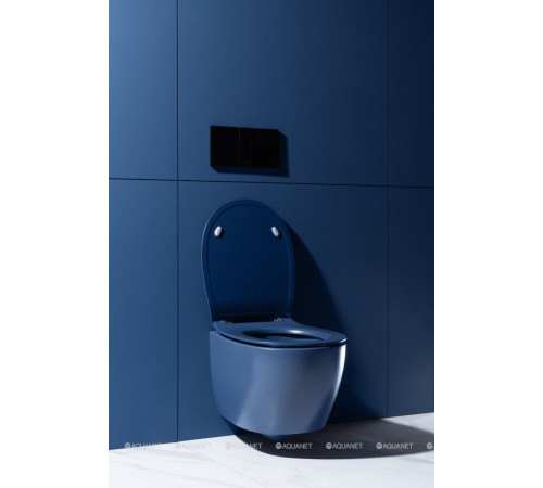 Унитаз подвесной Allen Brau FANTASY Rimless 510x363 мм индиго 4.11004.ID