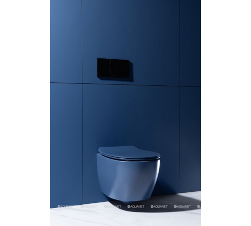 Унитаз подвесной Allen Brau FANTASY Rimless 510x363 мм индиго 4.11004.ID