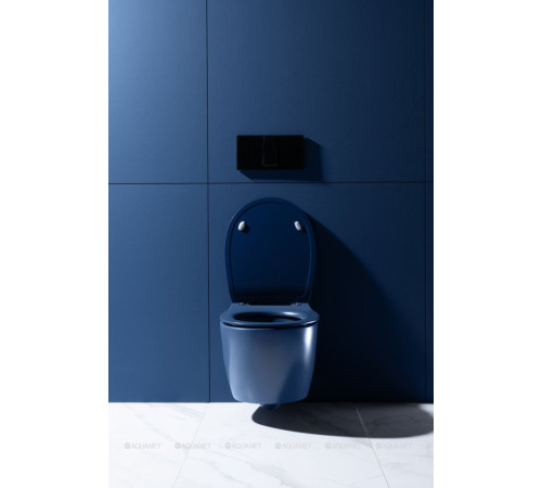 Унитаз подвесной Allen Brau FANTASY Rimless 510x363 мм индиго 4.11004.ID