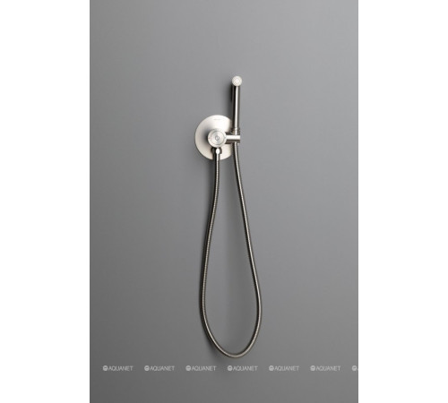 Смеситель с гигиеническим душем Allen Brau Liberty Push key никель 5.33005-BN