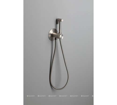 Смеситель с гигиеническим душем Allen Brau Liberty Push key никель 5.33005-BN