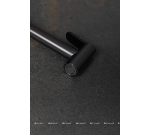 Гигиенический душ Allen Brau Priority графит браш 5.31028-MG