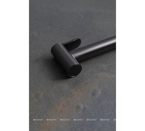 Гигиенический душ Allen Brau Priority графит браш 5.31028-MG