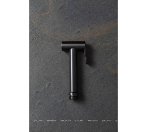 Гигиенический душ Allen Brau Priority графит браш 5.31028-MG