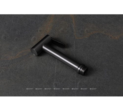 Гигиенический душ Allen Brau Priority графит браш 5.31028-MG