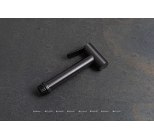 Гигиенический душ Allen Brau Priority графит браш 5.31028-MG