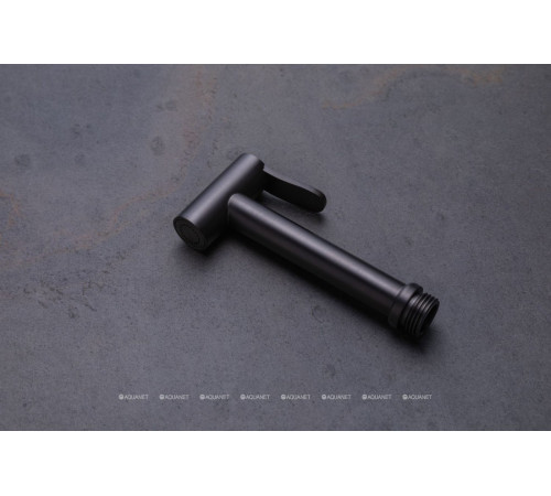 Гигиенический душ Allen Brau Priority графит браш 5.31028-MG