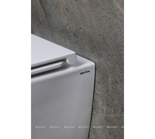 Унитаз подвесной Allen Brau Liberty 3 Tornado без сиденья 520х360 мм 4.33011.20