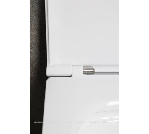 Унитаз подвесной Allen Brau Liberty 3 Tornado без сиденья 520х360 мм 4.33011.20