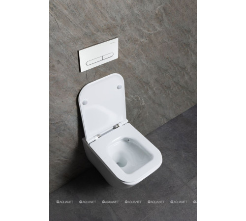 Унитаз подвесной Allen Brau Liberty 3 Tornado без сиденья 520х360 мм 4.33011.20