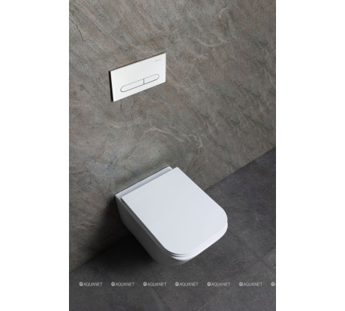 Унитаз подвесной Allen Brau Liberty 3 Tornado без сиденья 520х360 мм 4.33011.20