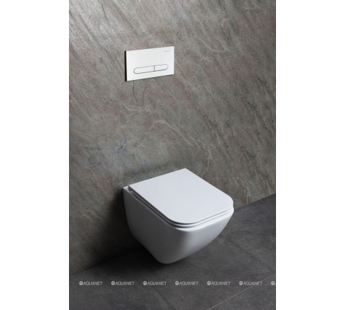 Унитаз подвесной Allen Brau Liberty 3 Tornado без сиденья 520х360 мм 4.33011.20