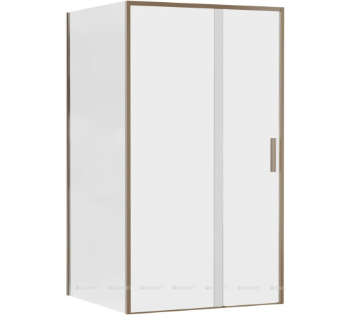 Боковое стекло для душевой двери Aquanet Pleasure Evo 1000 мм золотой никель AE65-F100-GBT