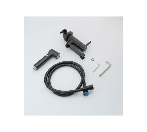 Комплект для гигиенического душа Aquanet Ника встроенный матовый черный AQ1819MB