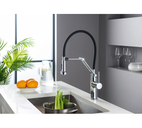 Смеситель для кухни Aquanet Европа профессиональный 2 jet хром AQ1388CR