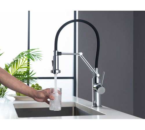 Смеситель для кухни Aquanet Европа профессиональный 2 jet хром AQ1388CR