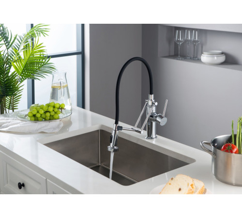 Смеситель для кухни Aquanet Европа профессиональный 2 jet хром AQ1388CR