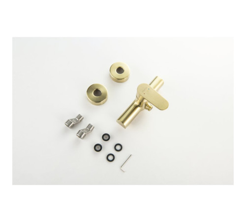 Смеситель для душа Aquanet Oberon шлифованное золото AQ1260BG