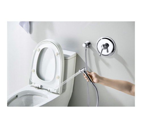 Набор с гигиеническим душем Aquanet Классик со смесителем AQ1519CR