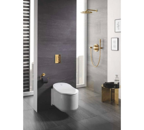 Панель смыва для унитаза GROHE Skate Cosmopolitan холодный рассвет матовый 38732GN0