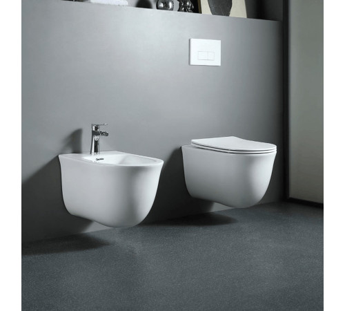 Биде подвесное Aquanet Классик 490x365x340 мм AQ1161-00