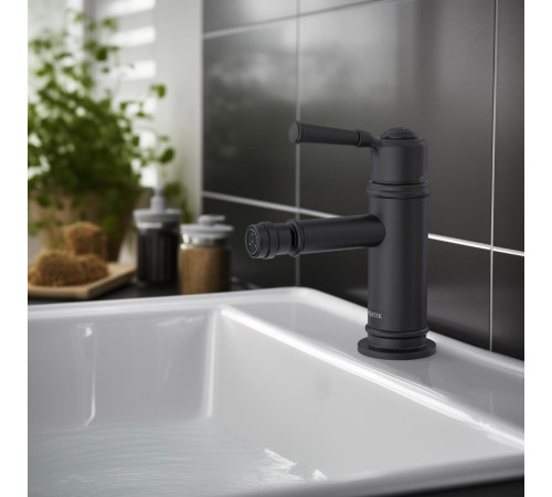 Смеситель для биде Aquanet Классик матовый черный AQ1518MB