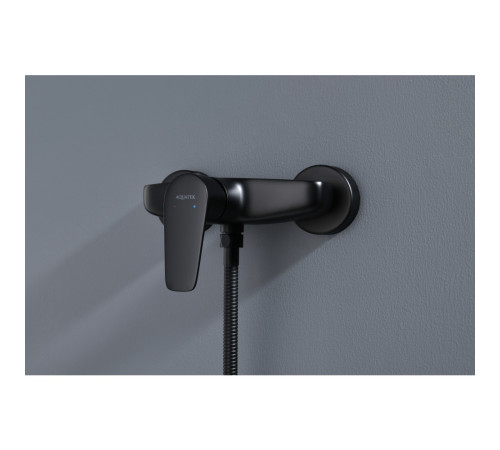 Смеситель для душа Aquanet Бетта матовый черный AQ1160MB