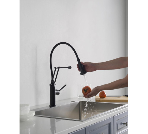 Смеситель для кухни Aquanet Европа профессиональный 2 jet матовый черный AQ1388MB