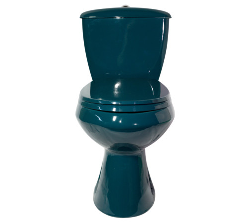 Унитаз-компакт Santek Элисса Стандарт косой выпуск нижний подвод зеленый 43325110202