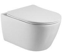 Унитаз подвесной безободковый Aquanet Betta 531х360х344 мм с сиденьем микролифт AQ1253W-00