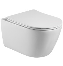 Унитаз подвесной безободковый Aquanet Betta 531х360х344 мм с сиденьем микролифт AQ1253W-00