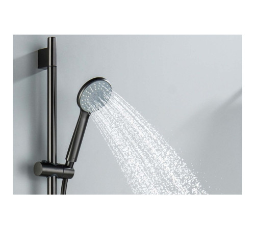Душевой гарнитур Aquanet Бетта 3jet 65 см оружейная сталь AQ2017BGM