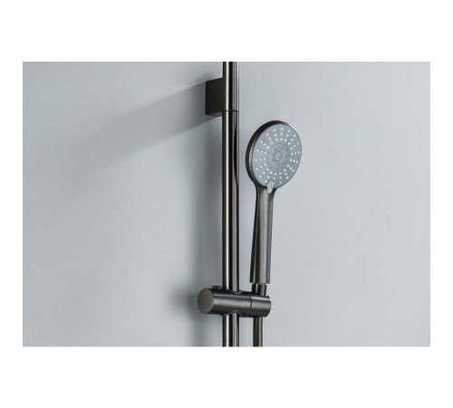 Душевой гарнитур Aquanet Бетта 3jet 65 см оружейная сталь AQ2017BGM