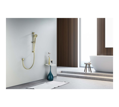 Душевой гарнитур Aquanet Оберон 3jet 65 см шлифованное золото AQ2016BG