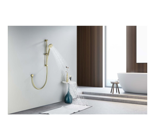 Душевой гарнитур Aquanet Оберон 3jet 65 см шлифованное золото AQ2016BG