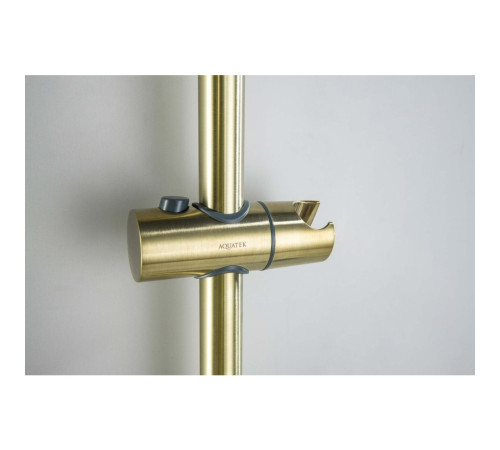 Душевой гарнитур Aquanet Оберон 3jet 65 см шлифованное золото AQ2016BG