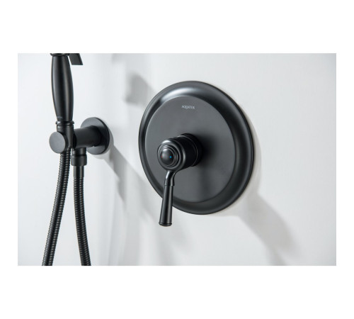 Набор с гигиеническим душем Aquanet Классик со смесителем матовый черный AQ1519MB