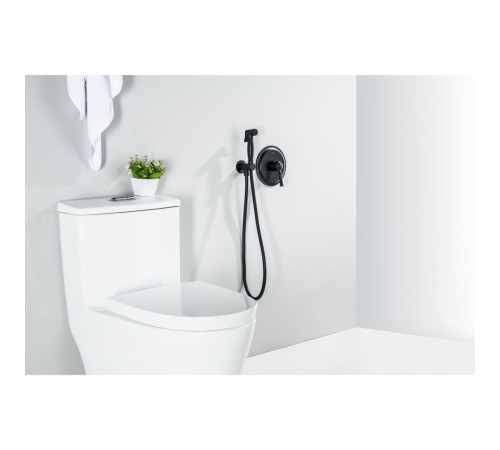 Набор с гигиеническим душем Aquanet Классик со смесителем матовый черный AQ1519MB