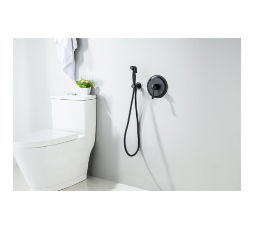 Набор с гигиеническим душем Aquanet Классик со смесителем матовый черный AQ1519MB