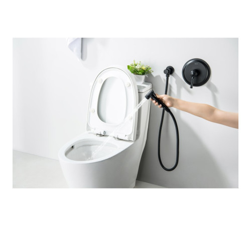 Набор с гигиеническим душем Aquanet Классик со смесителем матовый черный AQ1519MB