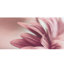 Декор Paradyz Sorenta Bianco Durst Kwiaty A 30х60 см х9999012091