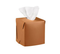 Салфетница ADJ Kleenex 12х12х12 см коньяк/бордо 0015.09/30