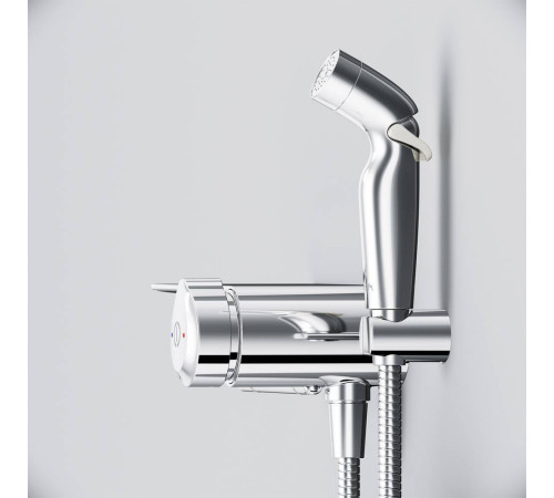 Смеситель TouchReel с гигиеническим душем и полкой встраиваемый AM.PM X-Joy F0H85A800