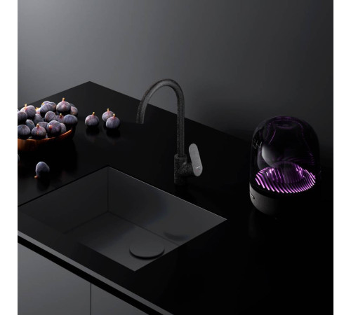 Смеситель для кухни AM.PM Like черный F8007122