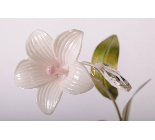 Бра Abrasax 40032 STY40032/1В